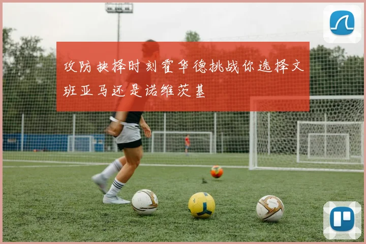 攻防抉择时刻霍华德挑战你选择文班亚马还是诺维茨基